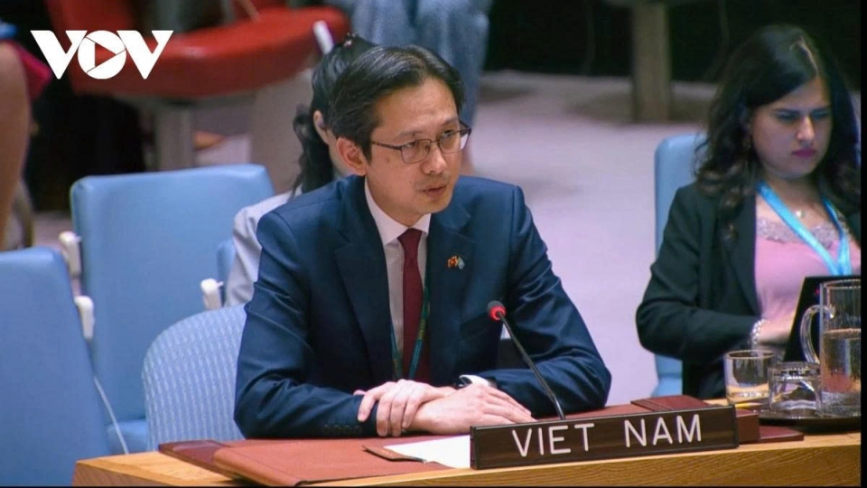 Vietnam reaffirms commitment to children protection in armed conflict